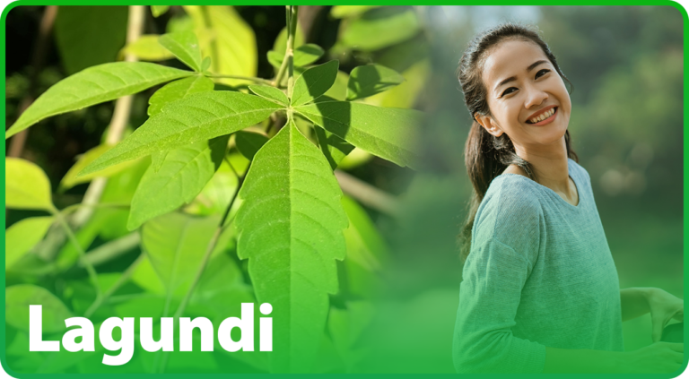 Lagundi-your-natural-health-partner